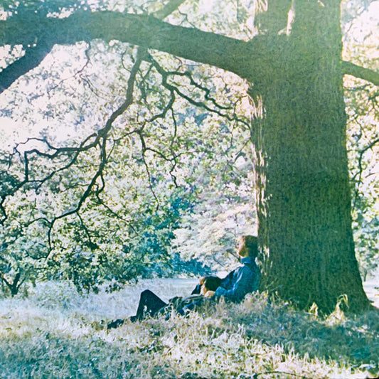 Yoko Ono -Plastic Ono Band-