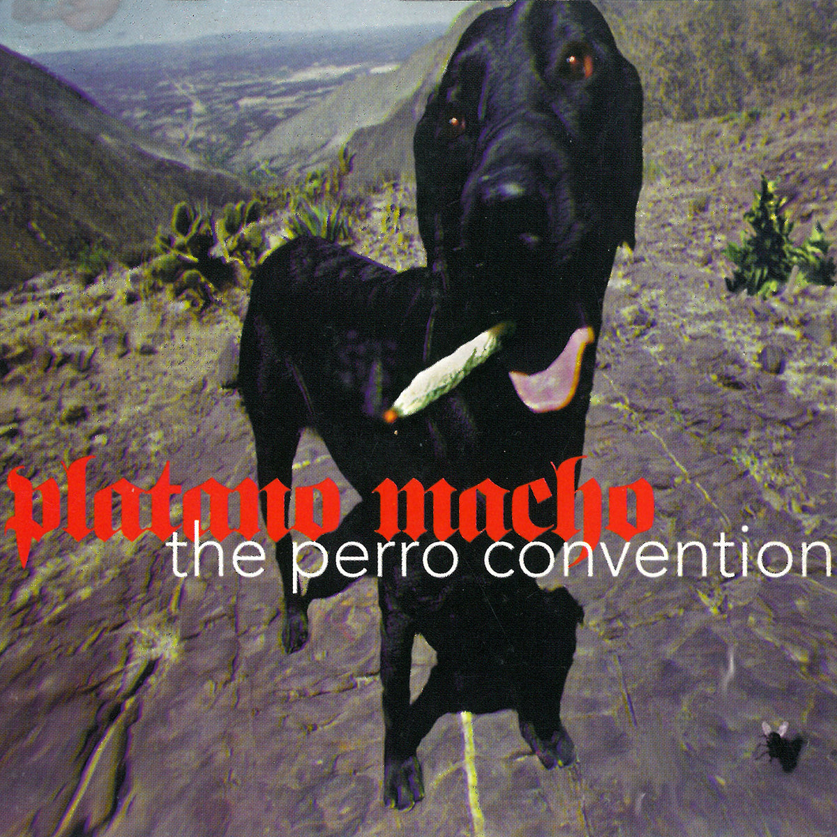 Platano Macho | The Perro Convention (2022)